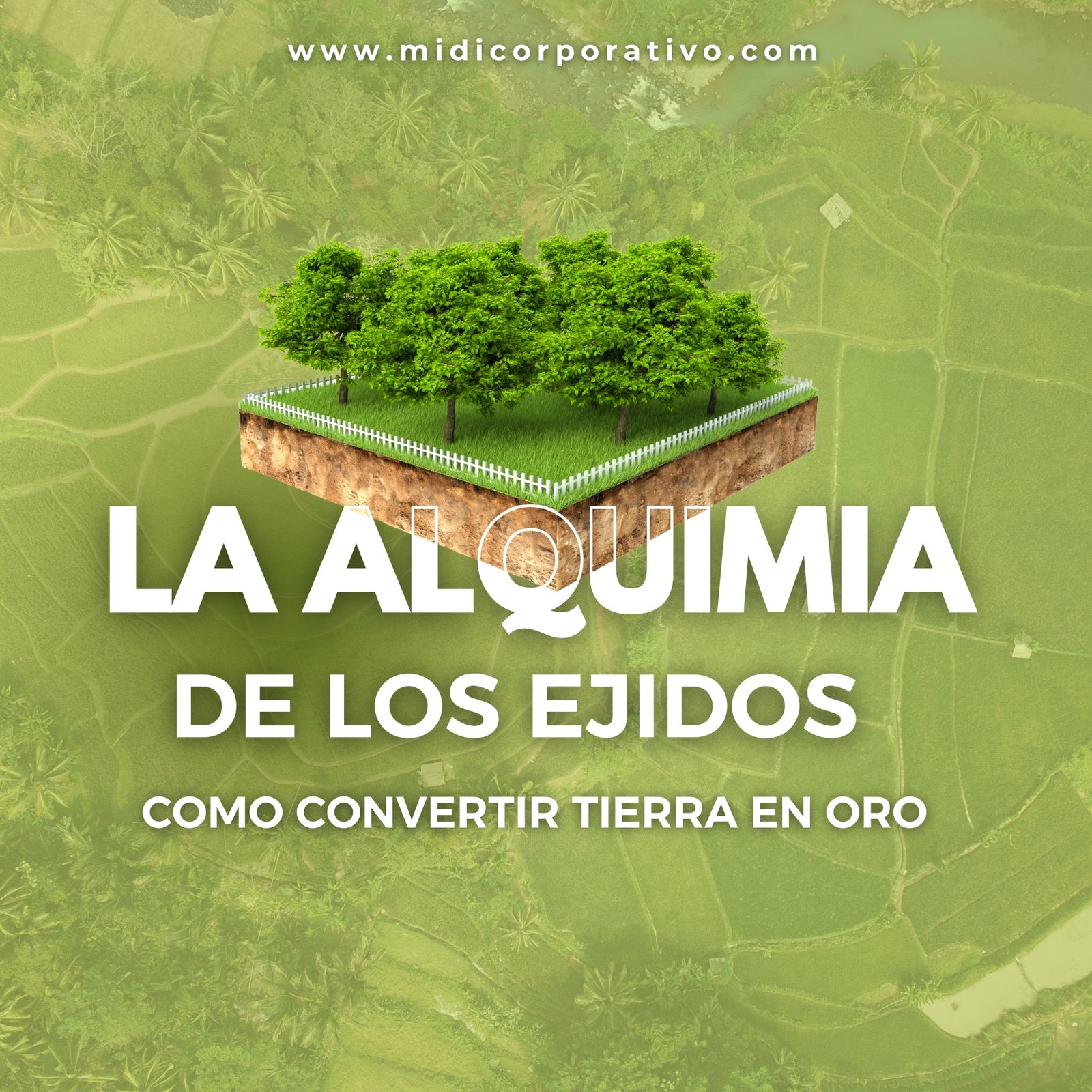 La alquimia de los terrenos ejidales
